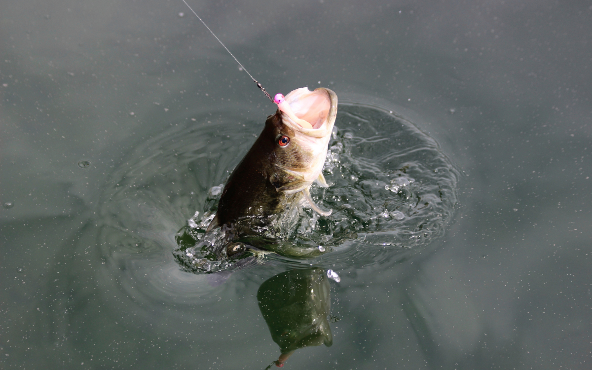 Best Spots for Fishing Near Hugo, OK - and Land Available Nearby